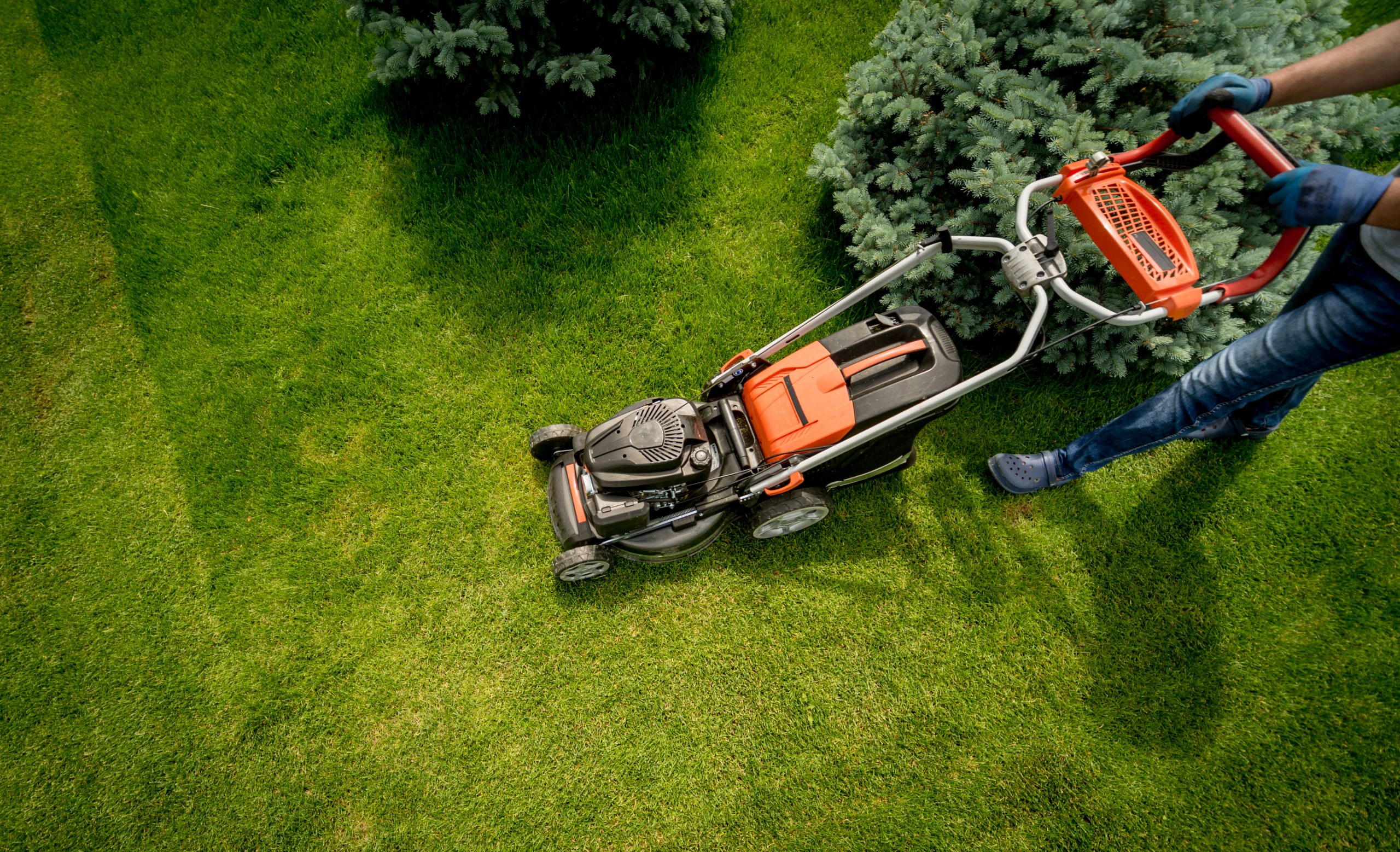 iM Group - Dienstleistungen rund um Gewerbe, Haus und Garten